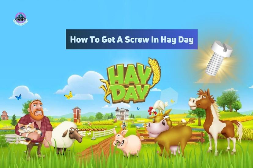 how to get a screw in hay day
