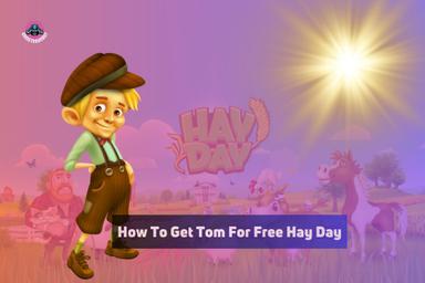 how to get tom for free hay day