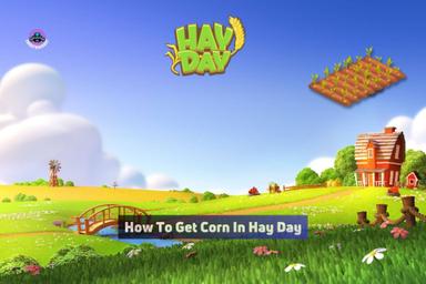 how to get corn in hay day