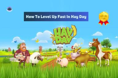 How To Level Up Fast In Hay Day