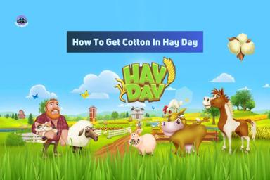 How to get cotton on Hay Day