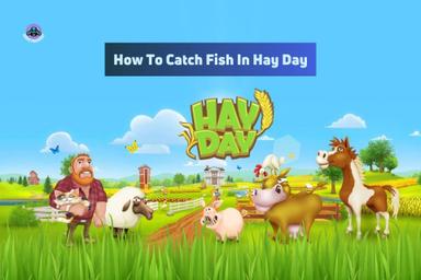 How to catch fish in Hay Day